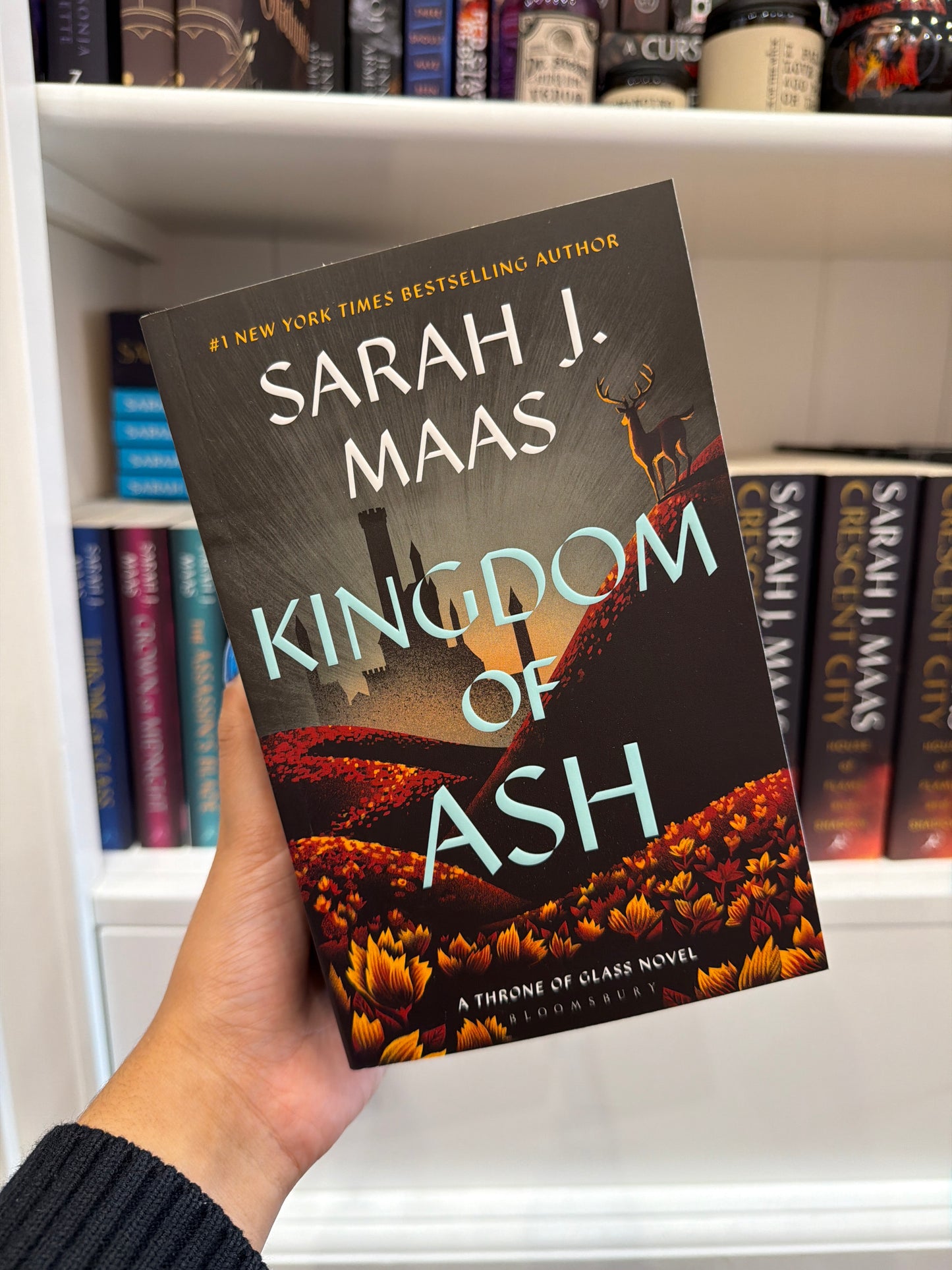 Kingdom of Ash