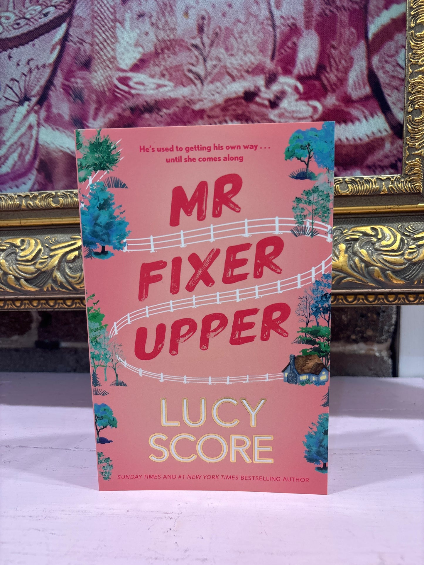 Mr Fixer Upper