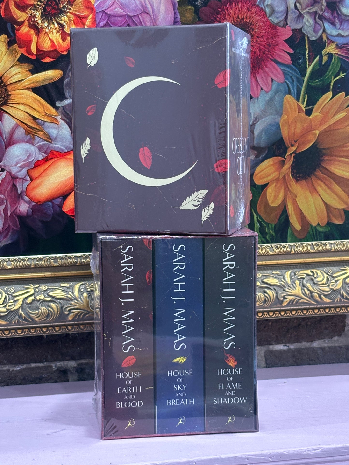 Crescent City Boxset
