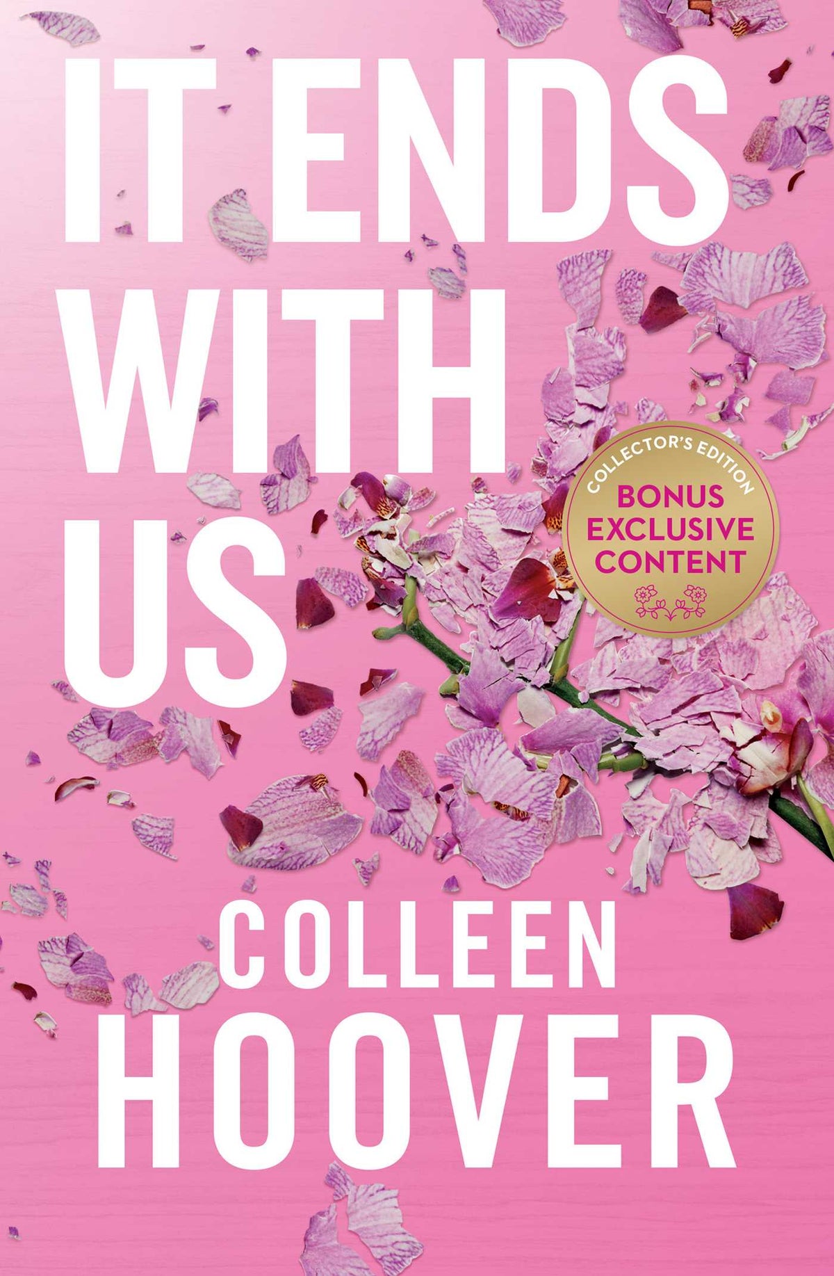 It Ends With Us - Trade Paperback
