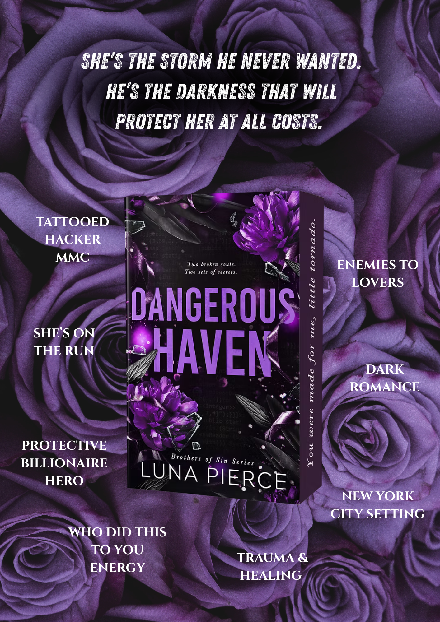Pre-order: Dangerous Haven by Luna Pierce