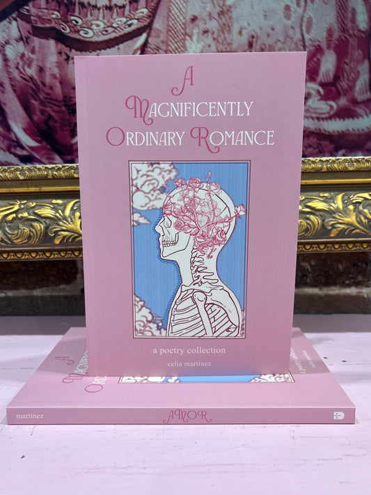 A Magnificently Ordinary Romance