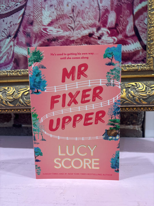 Mr Fixer Upper